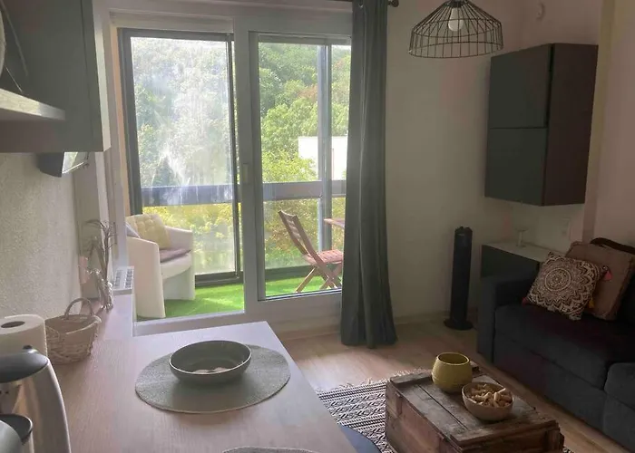 Apartment Au Coeur De Chatelguyon *